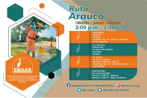 Ruta Arauco